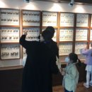 파주 나비나라박물관 이미지