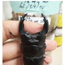 (주)운우 이미지