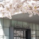 스테이인 호텔 봄 이미지