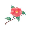 궁헤어샵 네이버블로그