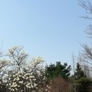 가자야식 이미지