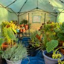 이나하우스 이미지