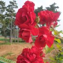 현하우스 이미지