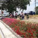 개곡1리 이미지