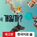 [OTT로 읽는 세상] &#39;개는 왜 개일까&#39; 보며 웃다가 친구가 그리워졌다 이미지