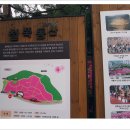 철쭉동산 이미지