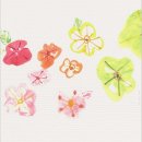 예쁘다,오늘 이미지