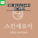 스킨새로이 이미지