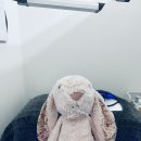 라미왁싱