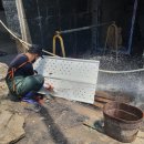 기동반-24 이미지