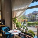 안경진정성 도화점 이미지