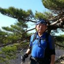 송칠영 Daum카페