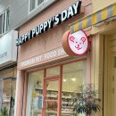 해피퍼피스데이 이미지