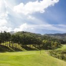 나인골프 | 강원도골프장｜무제한 골프｜골프후기｜태기산 나인 CC