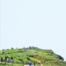 천년약속 이미지