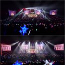 하이미스터 이미지