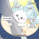 19-C | 🤖코딩자율학습단 19기 C언어 공부 후기