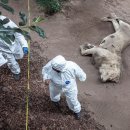 WIN PC ZONE 이미지