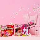 봄봄유통 이미지