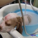 마린동물병원 이미지