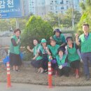 목감천 이미지