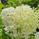 박선치과의원 이미지