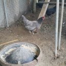 원이농장 이미지