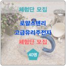 로얄명가 이미지
