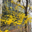 고촌메디컬센타약국 이미지