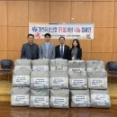 유성이불