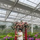휴애리근처 | [제주/서귀포시] 비오는 날 다녀온 휴애리 수국축제 후기 (+예매 방법)