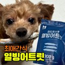 싸다펫 | 마도로스펫 열빙어트릿 후기 | 눈 뒤집히는 기호성