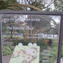 뚝섬한강공원 국제정원박람회 작가 정원 이미지