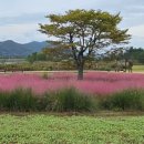 수변연가 이미지