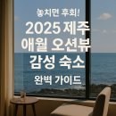 제주 애월 라꾸르 풀빌라 펜션 | 놓치면 후회! 2025 제주 애월 오션뷰 감성 숙소, 완벽 가이드
