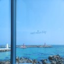 하프문(베이커리) | 영덕 오션뷰 카페 하프문베이, 구계항 근처 바다 보며 쉬기 좋은 곳
