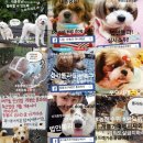 용종농장 이미지