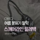 실버코디 | 스퀘어라인 팔레백 내돈내산 후기 실버백 코디 가성비 추천