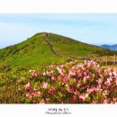 소백산주유소 이미지