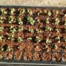 동훈농장 이미지