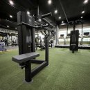 짐나지움 이미지