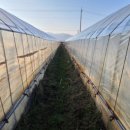 문척면사무소 이미지