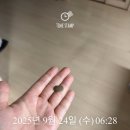 중부대로22 | 🤰🏻 임신 22주차
