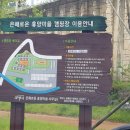 은해로운 캠핑장 이미지