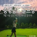 롯데스카이힐성주컨트리클럽 | 충청남도 골프장(최신ver) 솔라고cc, 골드리버cc, 로얄링스cc, 더힐cc, 롯데스카이힐부여cc 야간그린피