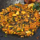 봇들로 | 의왕 곱창 맛집 의왕 왕곱 한우곱창 모듬구이 후기!(+주차)