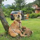 속리농원 이미지