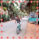 하나로태양광발전소 이미지