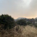 깊은숲한의원 이미지