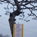 옹동우체국 이미지